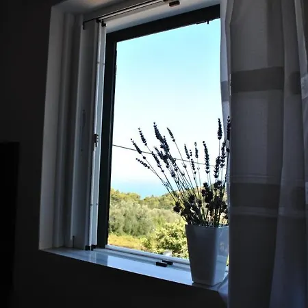 Monika Lefkada Πανσιόν