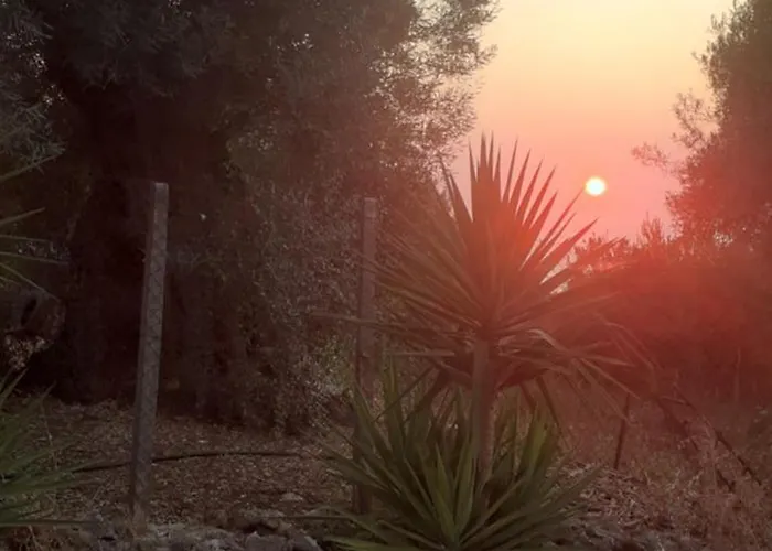 Monika Lefkada Tsoukaládhes