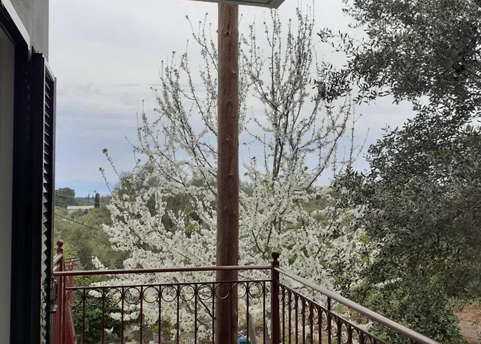 Monika Lefkada Tsoukaládhes